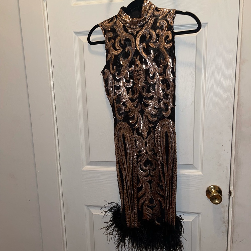 Dress from fashion nova